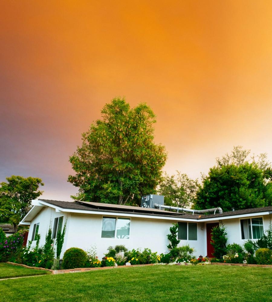 Estate Litigation