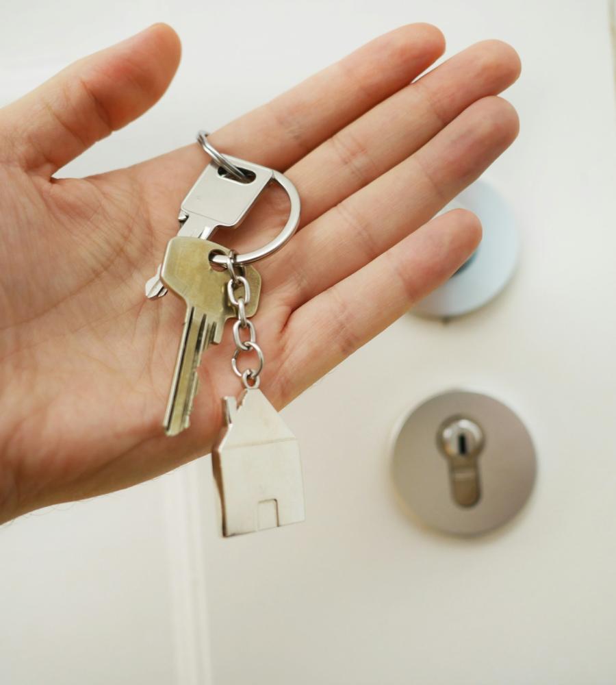 Estate Litigation