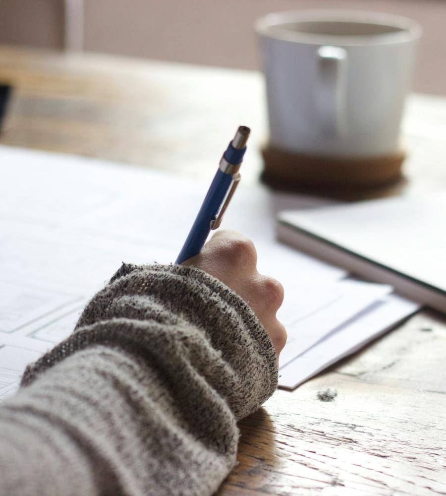 Employment Litigation